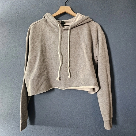 Wild Fable • Grey Cropped Hoodie - Picture 2 of 9